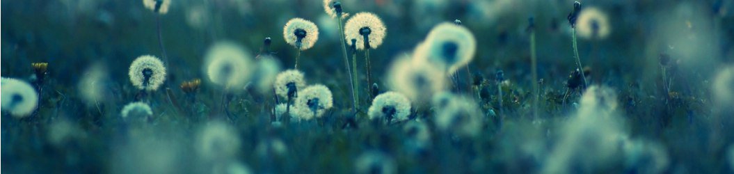 Кому оформу?
Рт, фоллоу и напишите с кем хотите оформу под этим твитом ♥