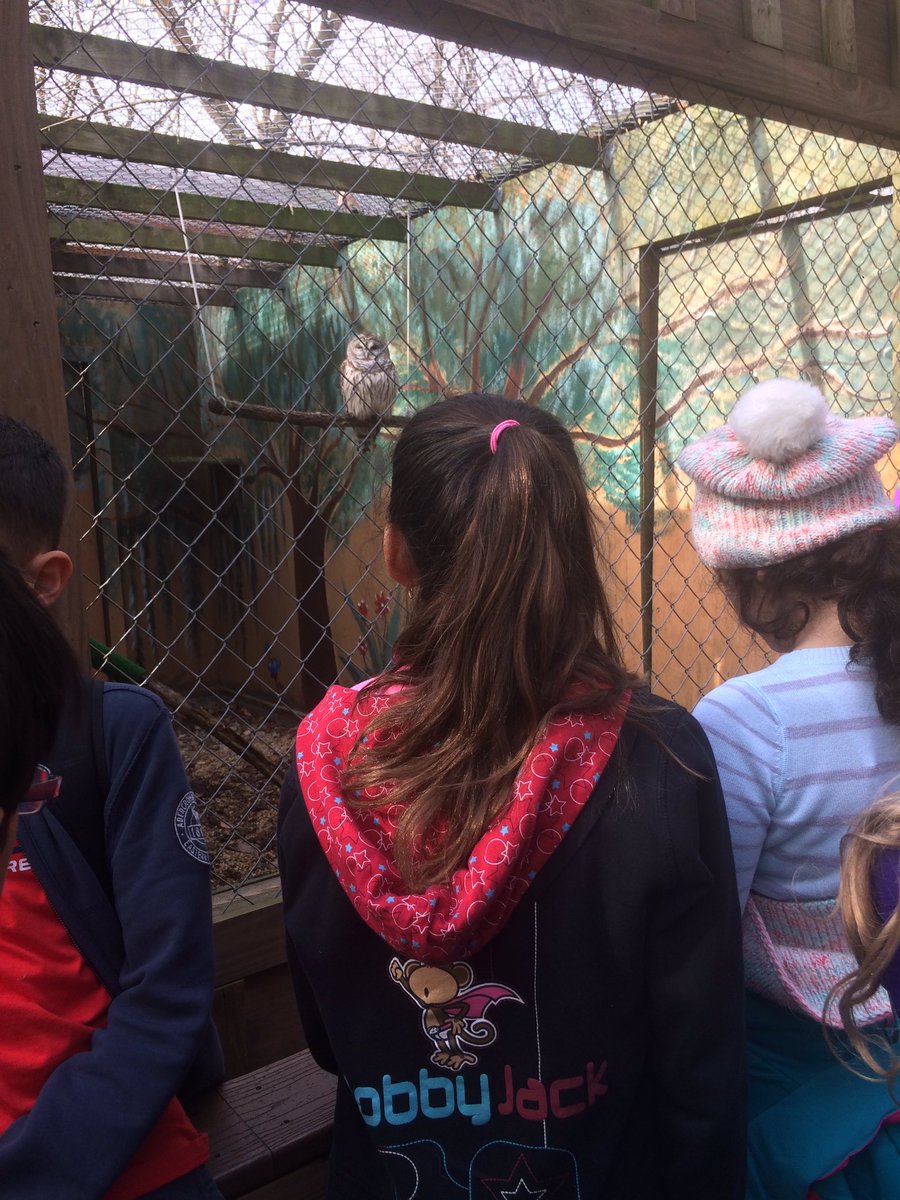 OwlEnglish's tweet photo. Owl students meet rescued owls at Potomac Overlook. #fieldtripsarefun @JeffersonIBMYP @JeffersonELA @EllenSmithAPS https://t.co/JtEIegjR0C