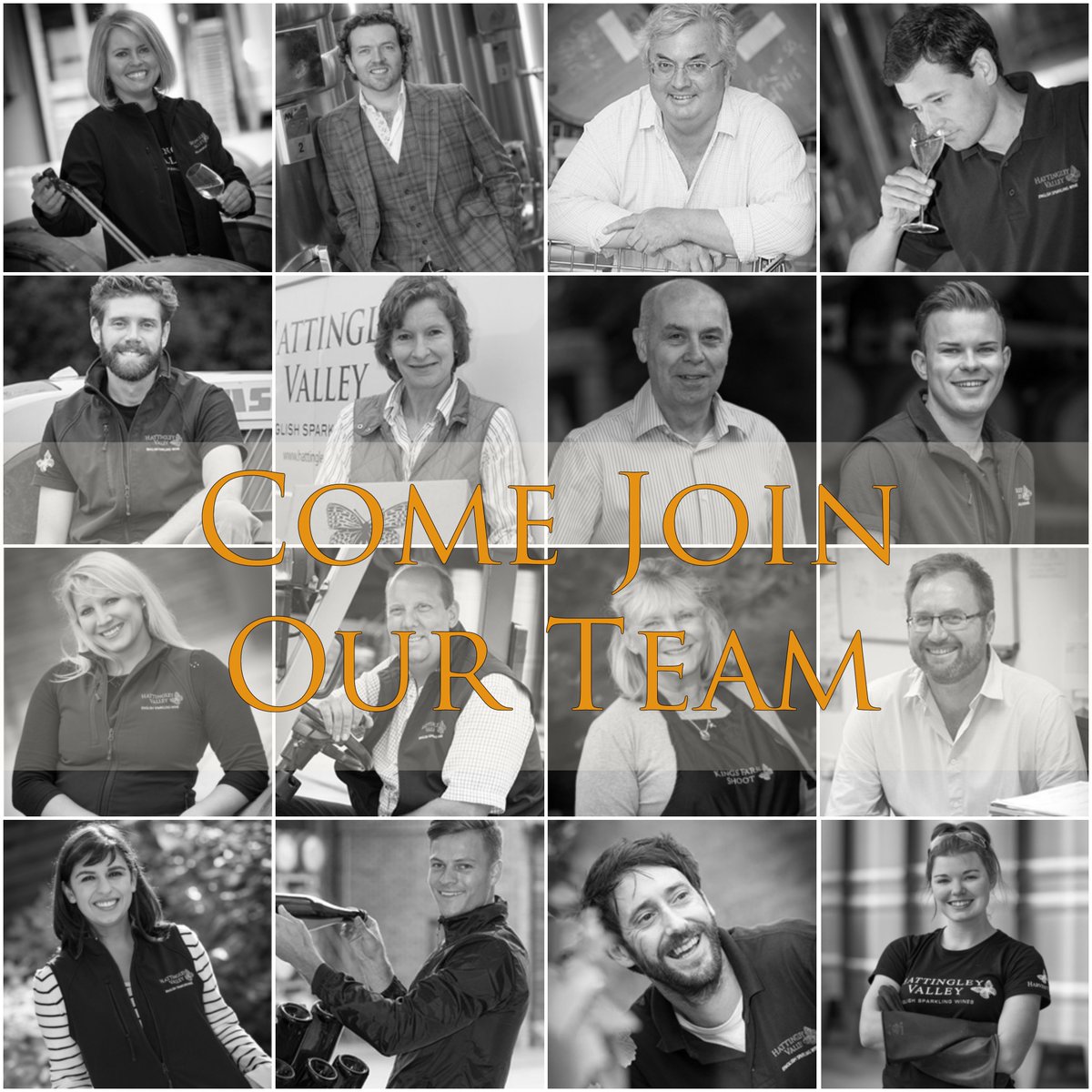 hattingleywines's tweet photo. JOB ALERT - LONDON  Exciting opportunity to join the Hattingley Valley team in newly created Brand Ambassador role https://t.co/PAoRZx66nG https://t.co/6cpTOY3GoX