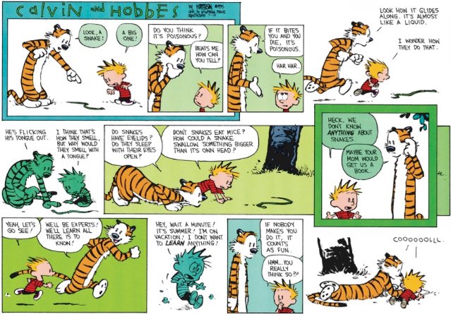 Calvinn_Hobbes's tweet photo. https://t.co/l4vtuUVzMf