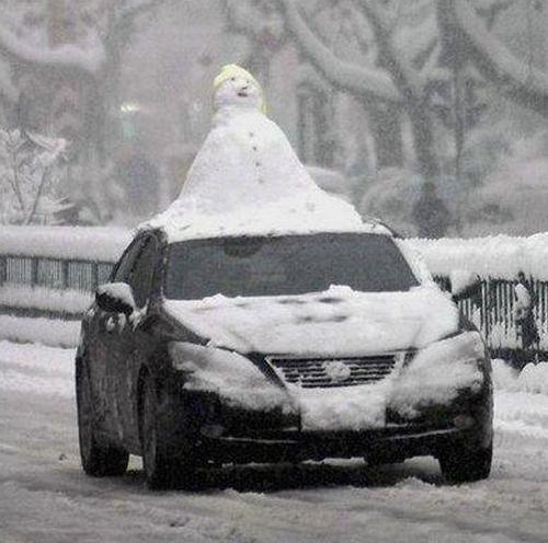 PromoShopOnline tweet media