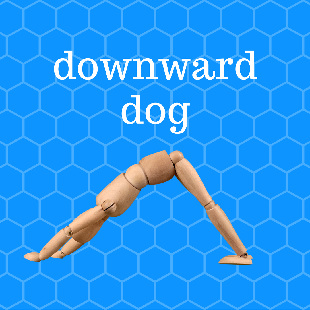 HolyYogaPSU's tweet photo. Quick Tip: Hands engaged, hips to the sky, heart back to the thighs, shoulder off ears, belly button pulled in, and don't forget the breathe https://t.co/4uVjUhXpwI
