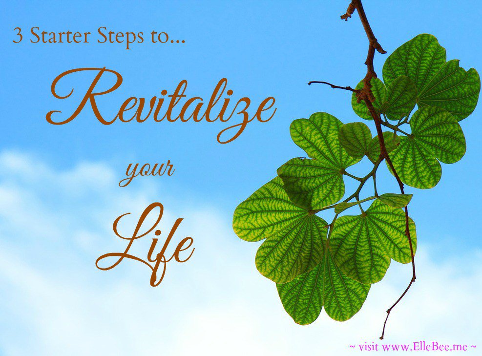 Author_ElleBee's tweet photo. 3 Starter Steps to Revitalize your Life! https://t.co/dcrD6D6C8a https://t.co/YSII3zXwh8