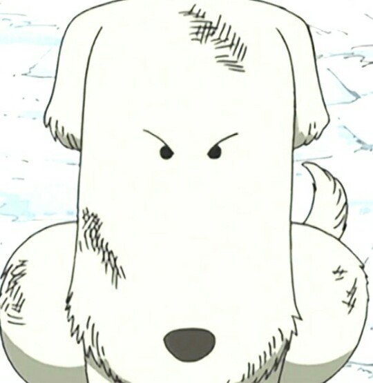 ワンピース 番犬シュシュのエピソードが泣ける かわいい魅力や名場面を紹介 大人のためのエンターテイメントメディアbibi ビビ