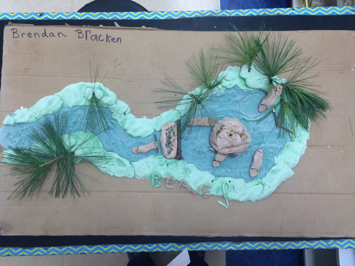 2nd_grade_scots's tweet photo. Look at these awesome beaver lodges! We even have some edible ones! @HighElem https://t.co/HfZFcZgH7F