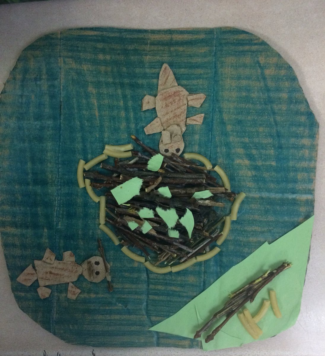 2nd_grade_scots's tweet photo. Beaver lodges round 3 @HighElem https://t.co/s235CFXHa9