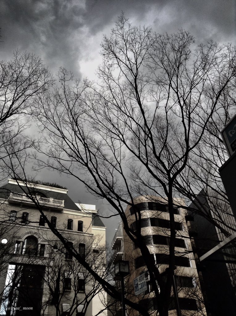 nyaa_moon's tweet photo. ไปๆฅใฎ่กจๅ้ใ Omotesando, Tokyo
#ipadpics https://t.co/HUQ0ZYpzHV