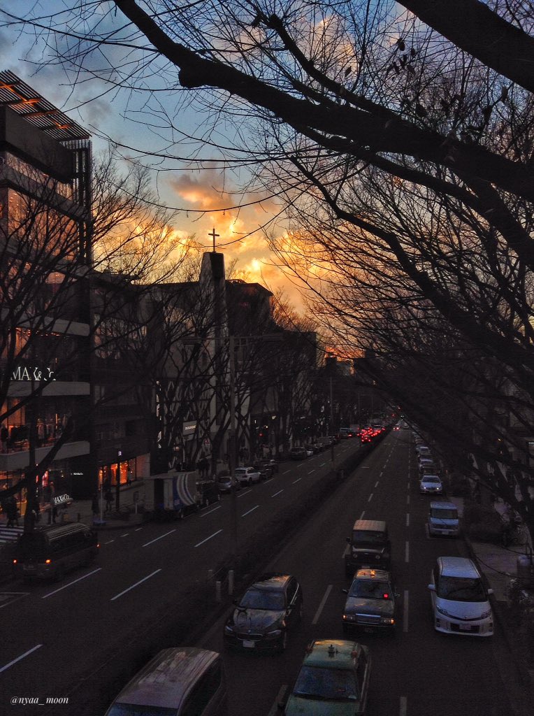 nyaa_moon's tweet photo. ไปๆฅใฎ่กจๅ้ใ Omotesando, Tokyo
#ipadpics https://t.co/HUQ0ZYpzHV