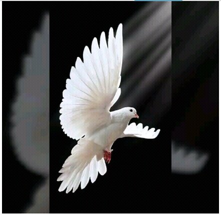 استغفرالله 💜
الحمدلله 💛
الله اكبر 💙
لا اله الا الله❤
سبحان الله 💗
سبحان ربي العظيم 💕