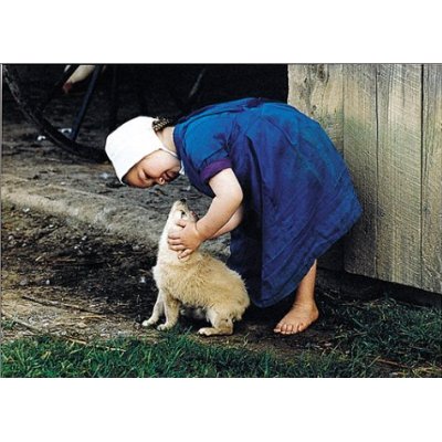 非自公民の脱原発に一票（しろ） tweet media