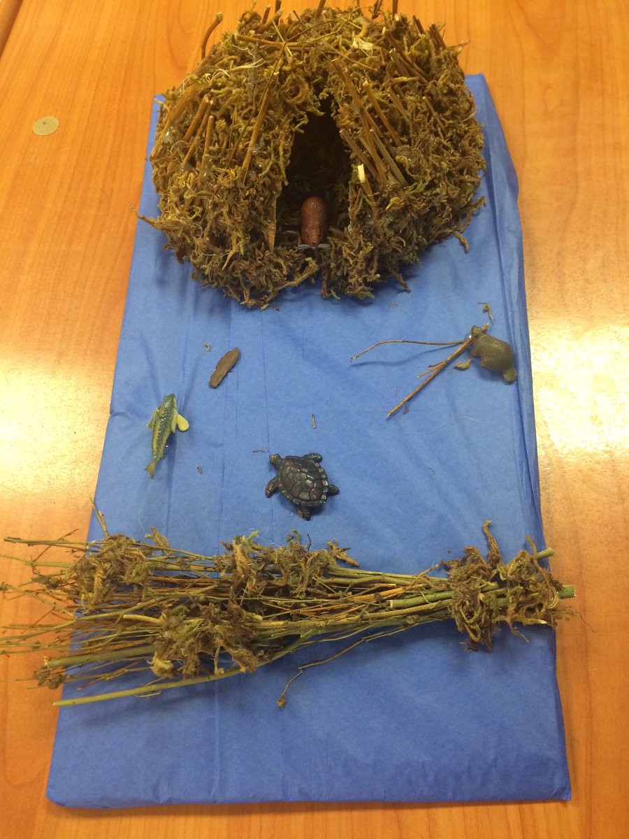 2nd_grade_scots's tweet photo. Last 2 lodges @HighElem https://t.co/MK6nN3b3IA