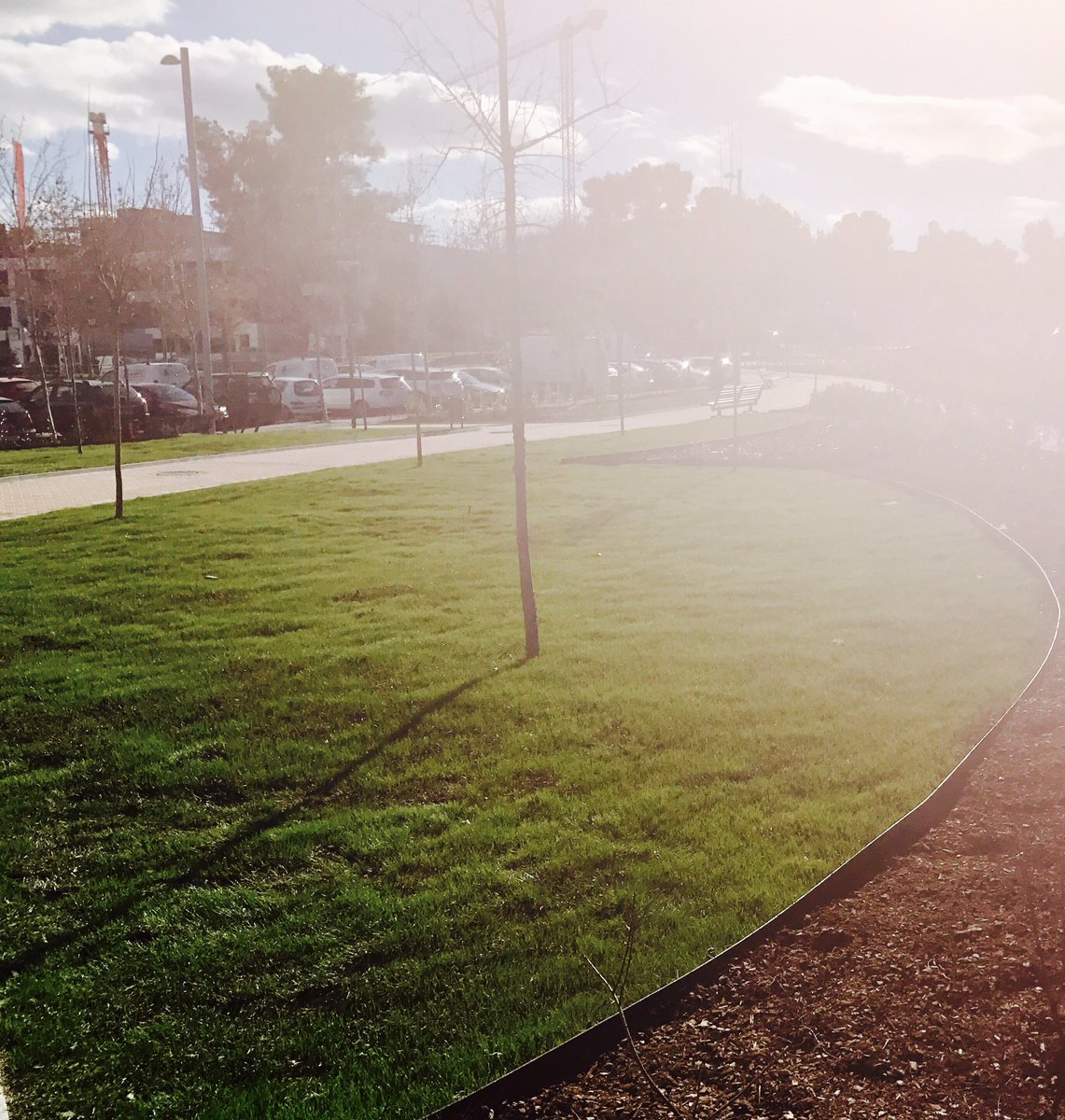 afalonsob's tweet image. Un motivo más para recordarte siempre. Se te echa de menos, amigo. #pozuelo #spotti m.enpozuelo.es/noticia/6882/s…