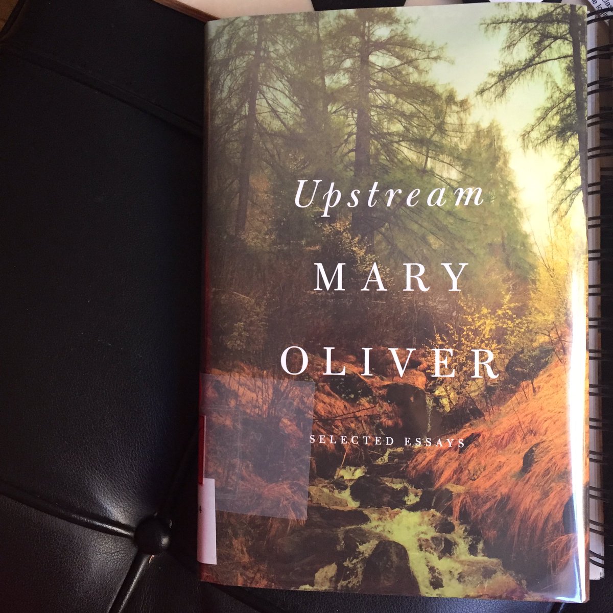 DJCinful's tweet photo. "The door to the woods is the door to the temple." Just finished reading. A new favorite I can see myself revisiting. https://t.co/jpz2fTfyia