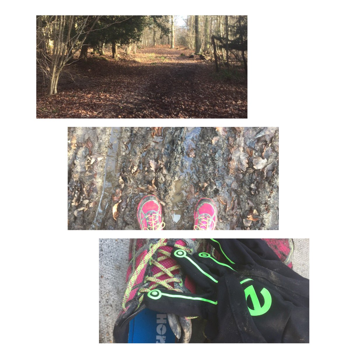 NikkiYeo's tweet photo. Sunny, muddy trail run done. Encountered 3 huge dogs on the paths surrounding the trails too ๐ฌ #scaredofdogs @egloveuk https://t.co/KyTJWaLIxJ