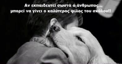 Αυτό μου άρεσε πολύ !