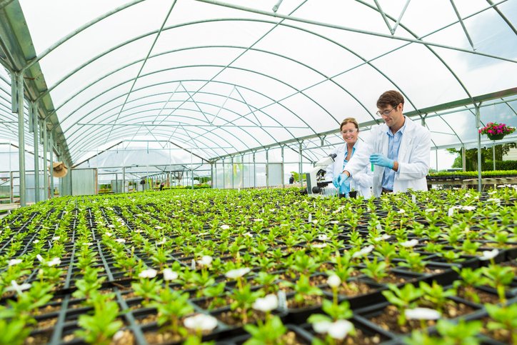 WeArePlanetSafe's tweet photo. Planet Safe is looking for greenhouse growers for trial results. If you are interested please visit our booth @MANTSBaltimore  #MANTS2017 https://t.co/wkDOEzpWGI