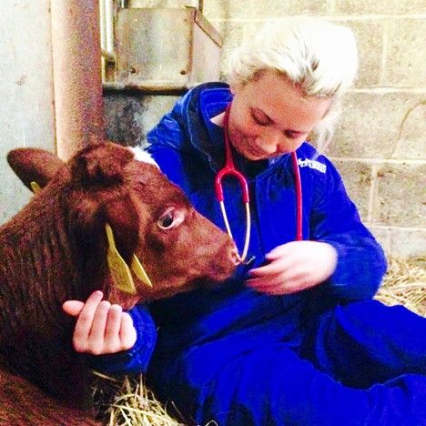 Sparsholt_Coll's tweet photo. Animal Management graduate,Sophie, is now studying Vet Science @UniOfSurrey #TomorrowsExpert https://t.co/UiAdFBn1ZM https://t.co/HTHJmB4PuG