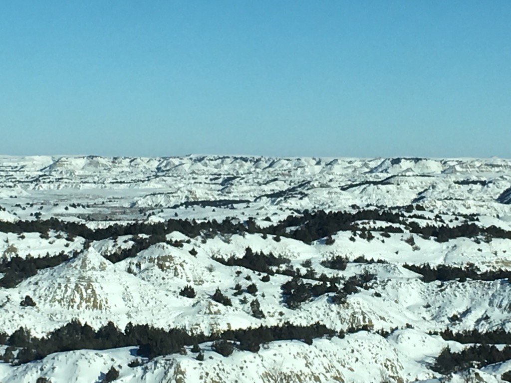 tlivers's tweet image. Love this world! #cancer4lifer #tumorsofcourage