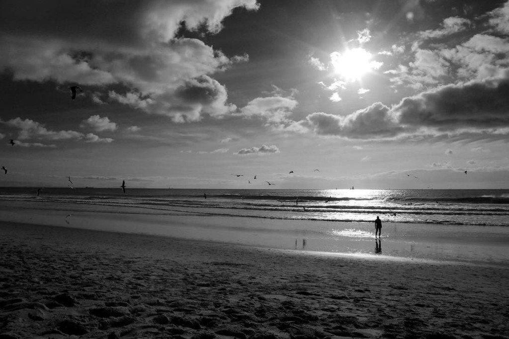Happy Friday! Your photo will look amazing with the #deepbw effect! #bitpoem #bw ift.tt/2j8Oy4w