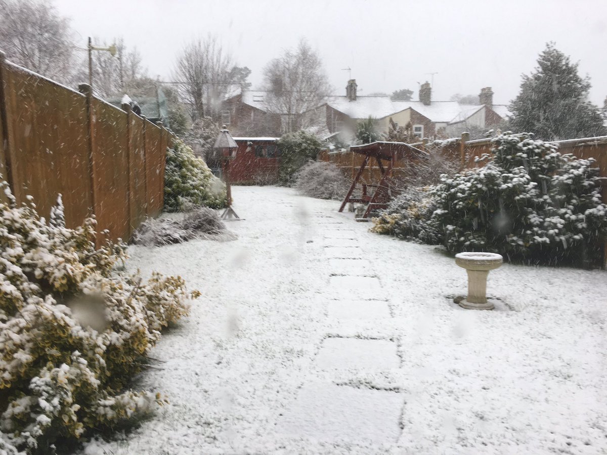 John Ladd tweet media