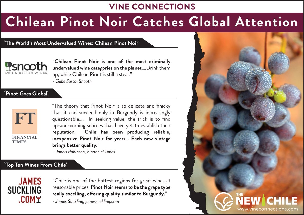 Salud to #ChileanPinotNoir ! Check out these stellar highlights of Chilean Pinot grabbing global attention!
<a href="/JamesSuckling/">James Suckling</a> <a href="/FT/">Financial Times</a> <a href="/DrinkChile/">Wines of Chile</a>