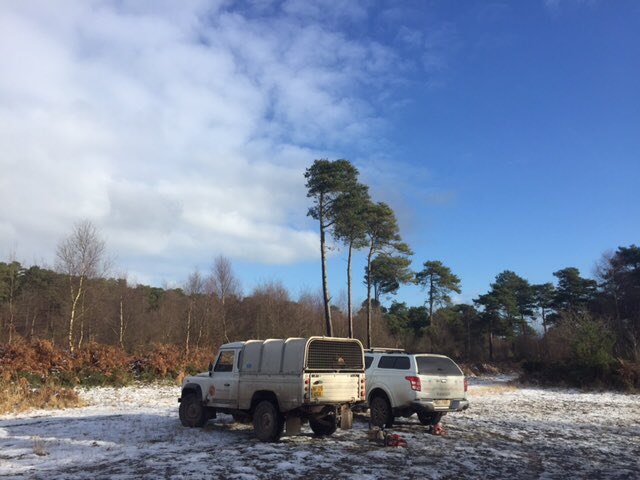 Pebblebed Heaths (@pebblebedheaths) on Twitter photo 
