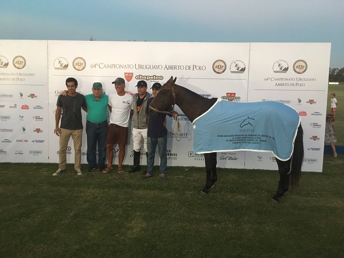 PoloArgentinotw's tweet photo. Mejor Caballo de la Final del Abierto de Uruguay Oriental Malamigo  
Por: Classify y Malaita.
Cria: David Stirling
Jugador: Matias Carrique https://t.co/NzvbUZTdtk