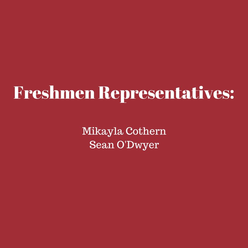 naidagn's tweet image. MGSH Sno Daze Royalty are:

#crimsonfamily