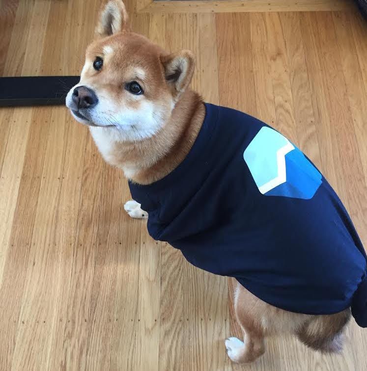 Baremetrics tweet media