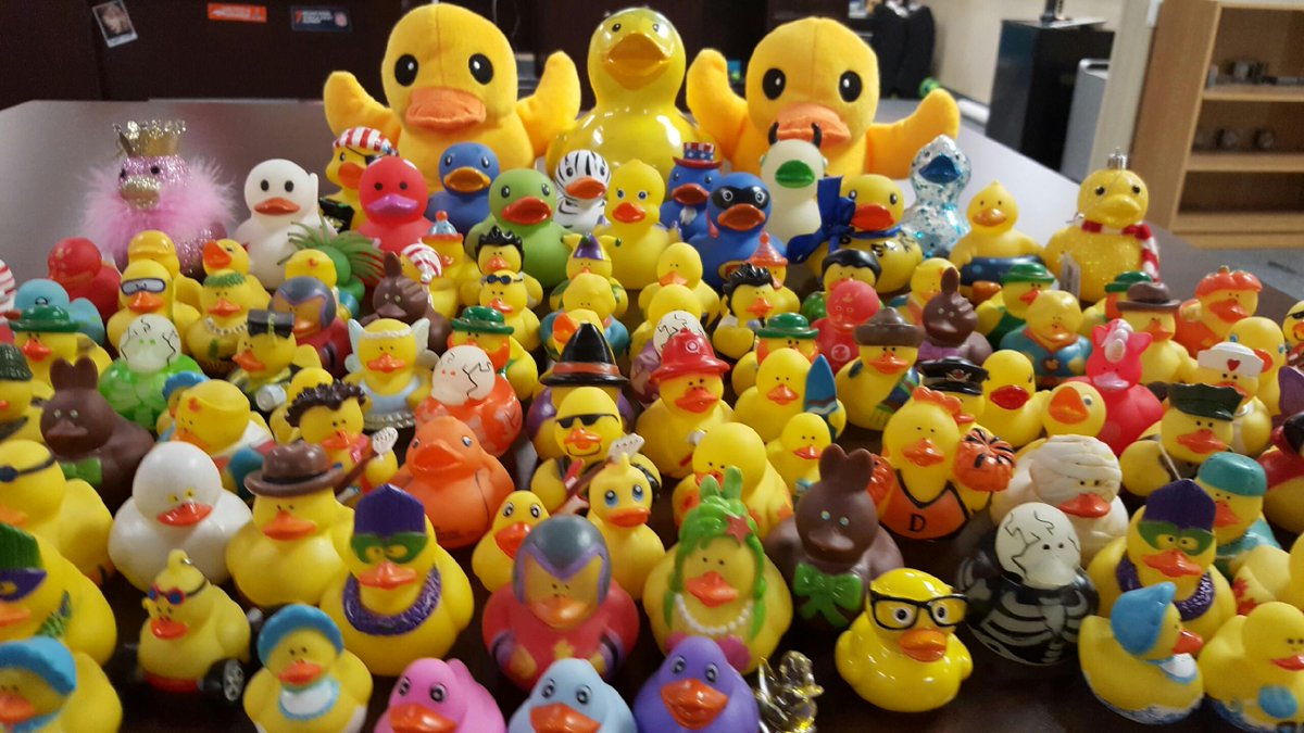 CreatedByISE's tweet photo. MORE IMPORTANTLY...today is #NationalDuckDay. S/O to @Infinity_Kristy for alway making sure our office is decorated appropriately 🐥  #FriYAY https://t.co/V4WJeWezWY