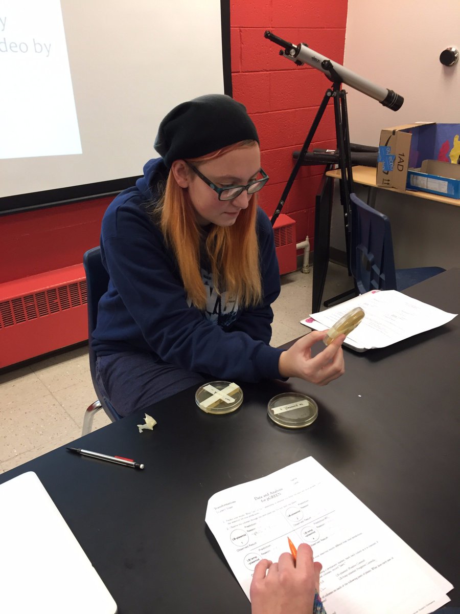 julibutterworth's tweet photo. When you know you’re in the best class ever!!  @PPEC49 #agarplates  #ecoli #biology #biochemistry #greengene #microbes https://t.co/8xAprHQuwK