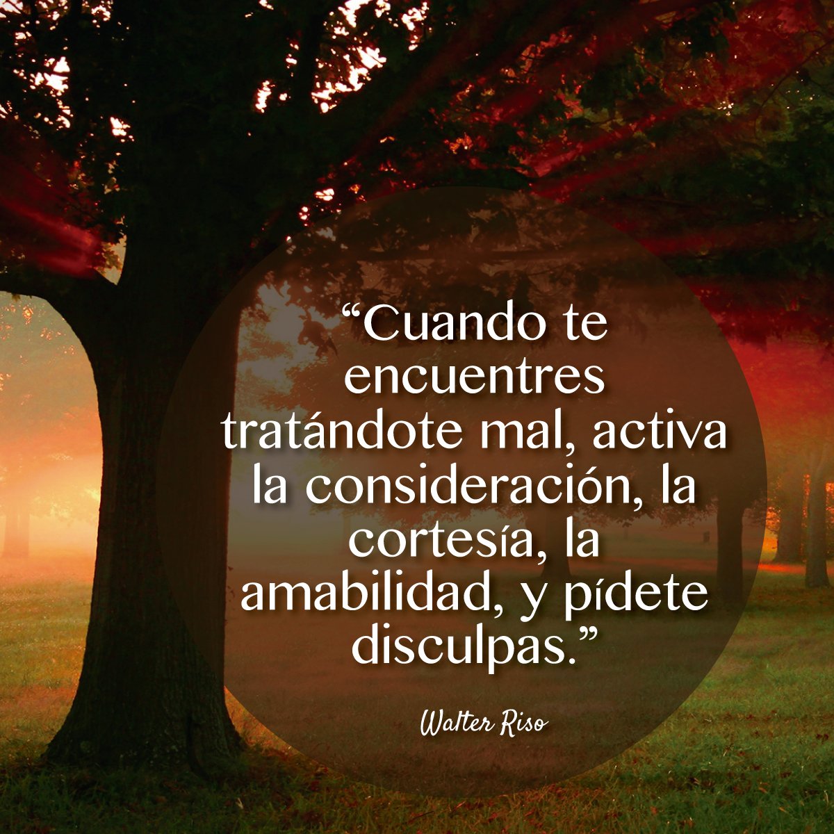 Activa la cortesía para ti mismo. #WalterRiso