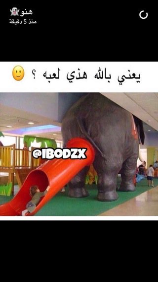 نووت الشمري (@moot23232) on Twitter photo 