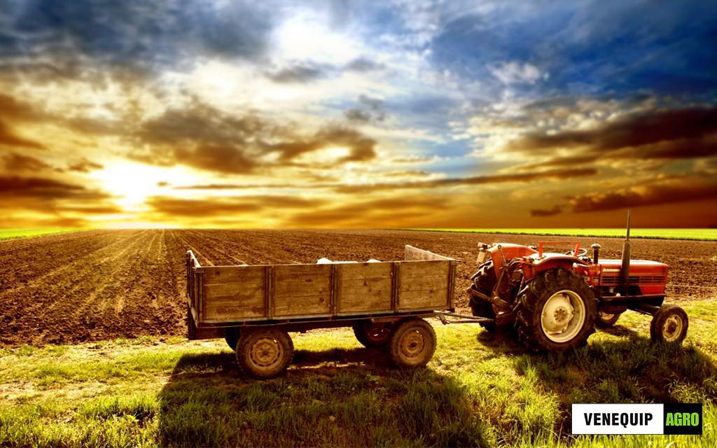 DeelAgro's tweet photo. "El espíritu de equipo es el que da a muchas empresas una ventaja sobre sus competidores." – George Clements

¡Feliz Viernes! https://t.co/EzdB4pdiW9