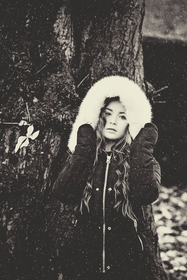 Hollywood Emporium tweet media