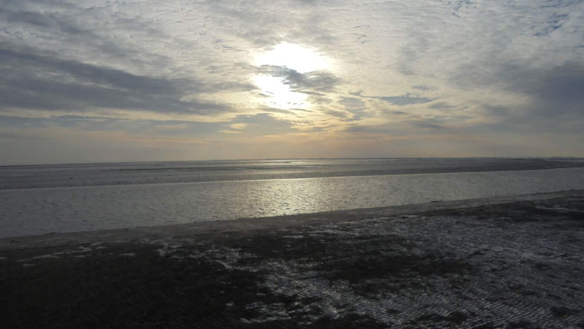 Er is zelfs al een tocht naar Schiermonnikoog gelopen vorige week! De eerste van 2017