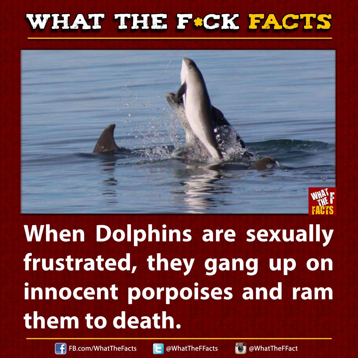 WhatTheFFacts's tweet image. 