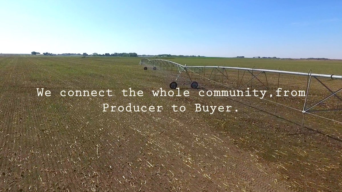 Agrapages's tweet photo. #yql #farm #farming #localproduce #agriculture #alberta #harvest #countrylife #producer #ruralife #yyc #supportlocal #eatlocal https://t.co/w6St5XClsJ