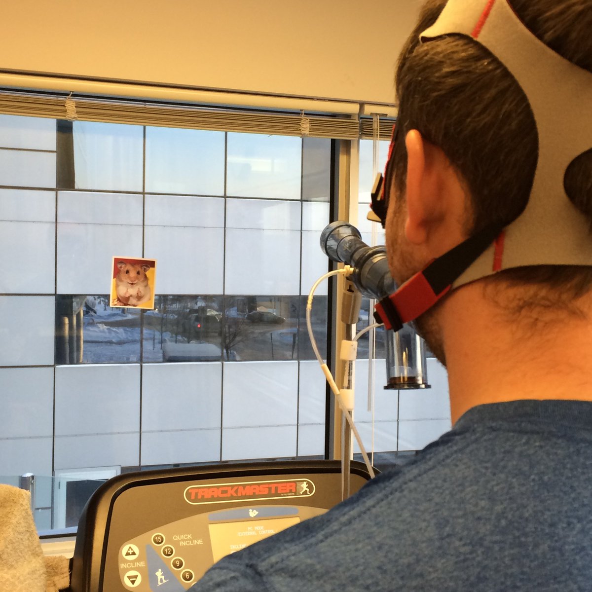 cteplab's tweet photo. #exercisephysiologist Jordan tests equipment while staring deep into the eyes of Maximilian, our #MaximalTesting hamster! #itslove #cteplab https://t.co/3stHT8eteu