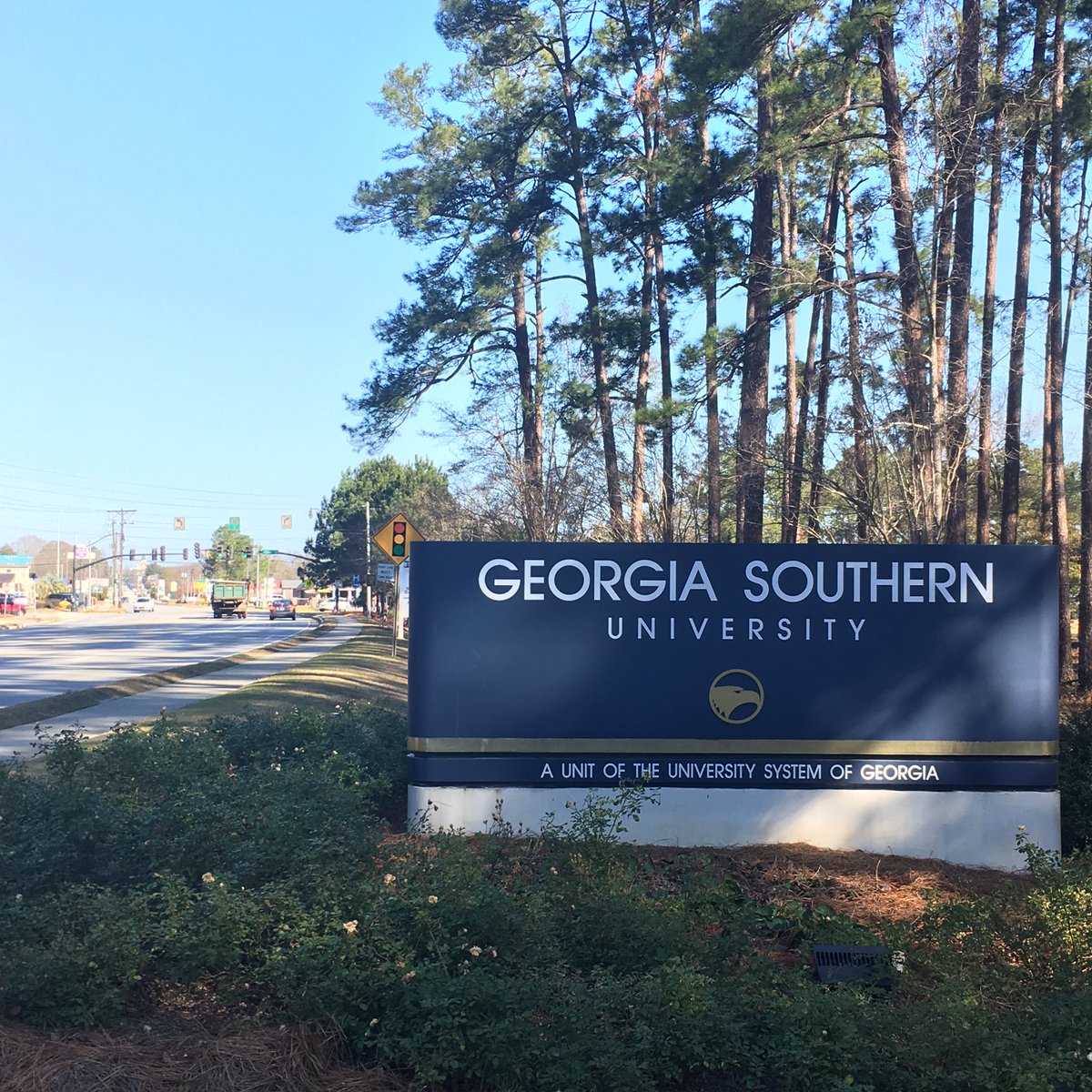 VisitStatesboro's tweet photo. @GeorgiaSouthern students can register NOW for the Amazing Blue Mile Challenge! https://t.co/7c0Tqt5ka8 @Pres_Hebert @JanBond0007 #abcboro https://t.co/Zf2gttSga0