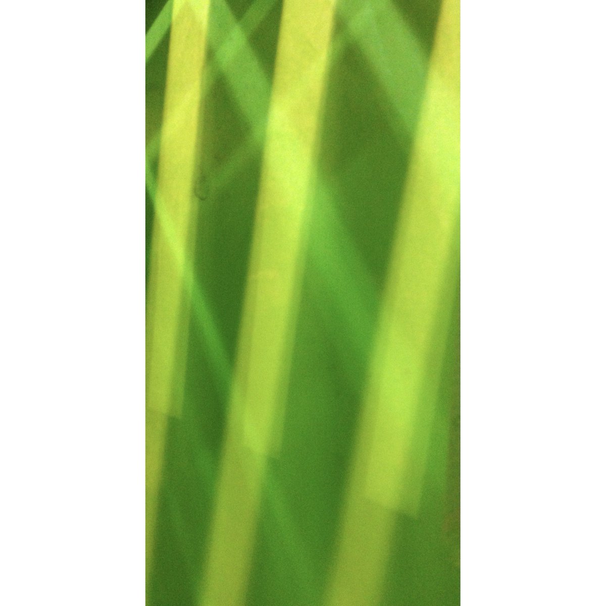 Studio_HGArts's tweet photo. Painting with light. #Studio_HG #art #artwork #studio #studiolife #studioart #fineart #green #greenery #pantone #behindthescenes #dailyart https://t.co/V34nvXFzUl