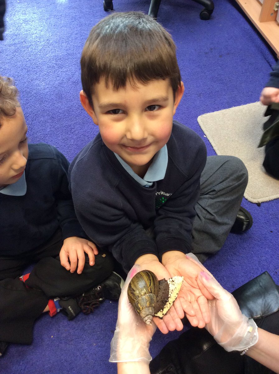 misshobanEYFS's tweet photo. We have been meeting our new class pet 'Turbo' today. Carefully handling him and remembering to wash our hands! https://t.co/aYszK79LSS