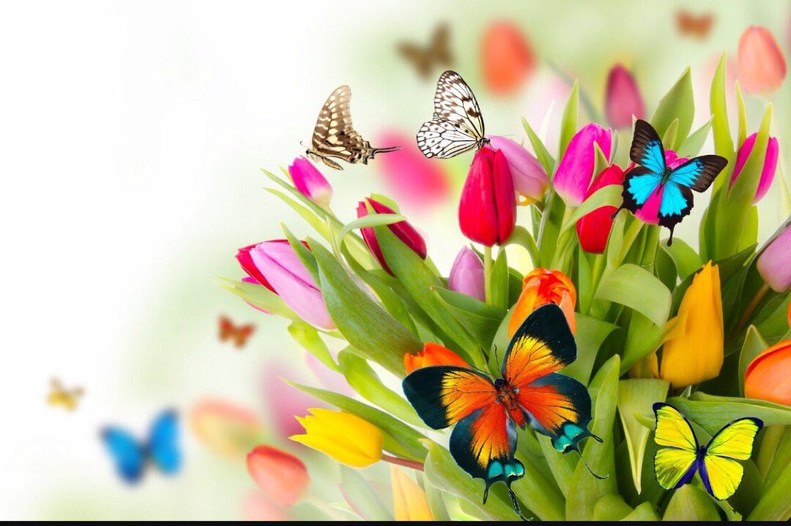 Josefa Leirós Mariez💜 tweet media