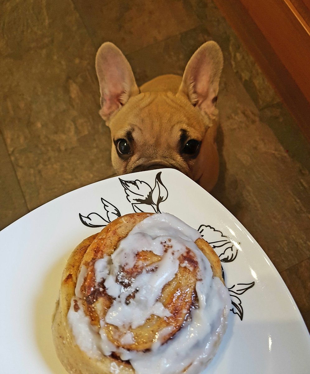 Epic cinnamon roll from <a href="/SweetMummas/">SweetMummasKitchen</a> today! Best ever! Just not for dogs. Stared me out til the last mouthful! 😄