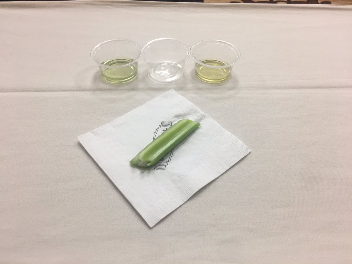 ruinationpress's tweet photo. The ins and outs of absinthe. #sacocktailconference. @SACocktailConf #absinthe https://t.co/bF4frQNJss