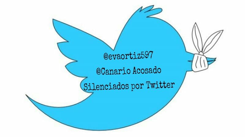 teresa furio fernand tweet media