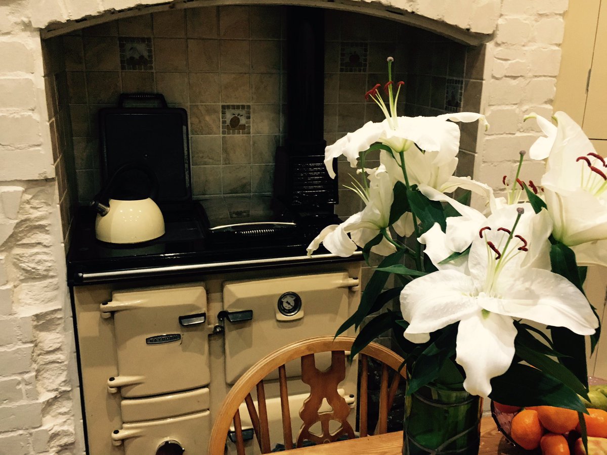 SarahSp11's tweet photo. @IanMcVety thanks for fueling the Rayburn #cosykitchen #kettlewhistling https://t.co/fJPQgmEz3d