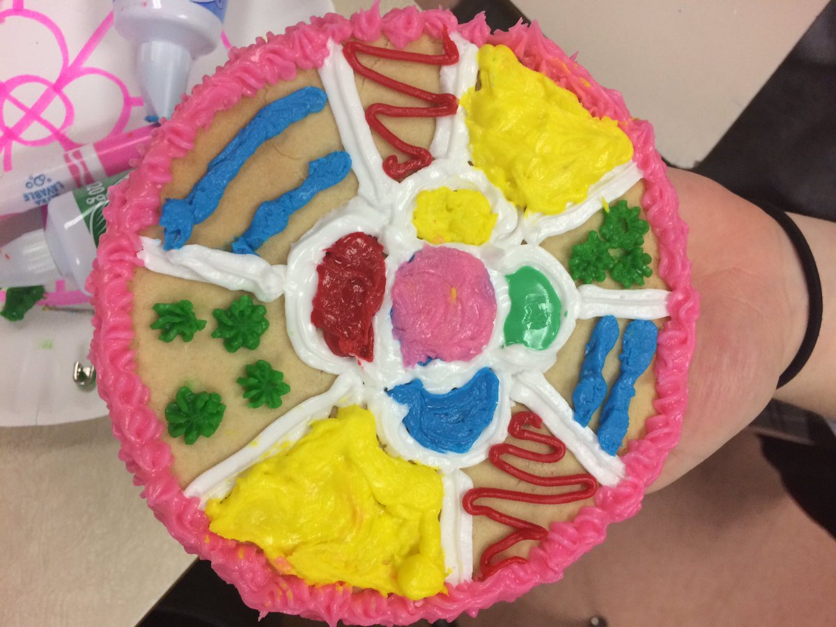 melo_jennie's tweet photo. Creating edible mandalas! #hrf30 @HolyCrossCSS @ALCDSB https://t.co/l1x27EgArJ