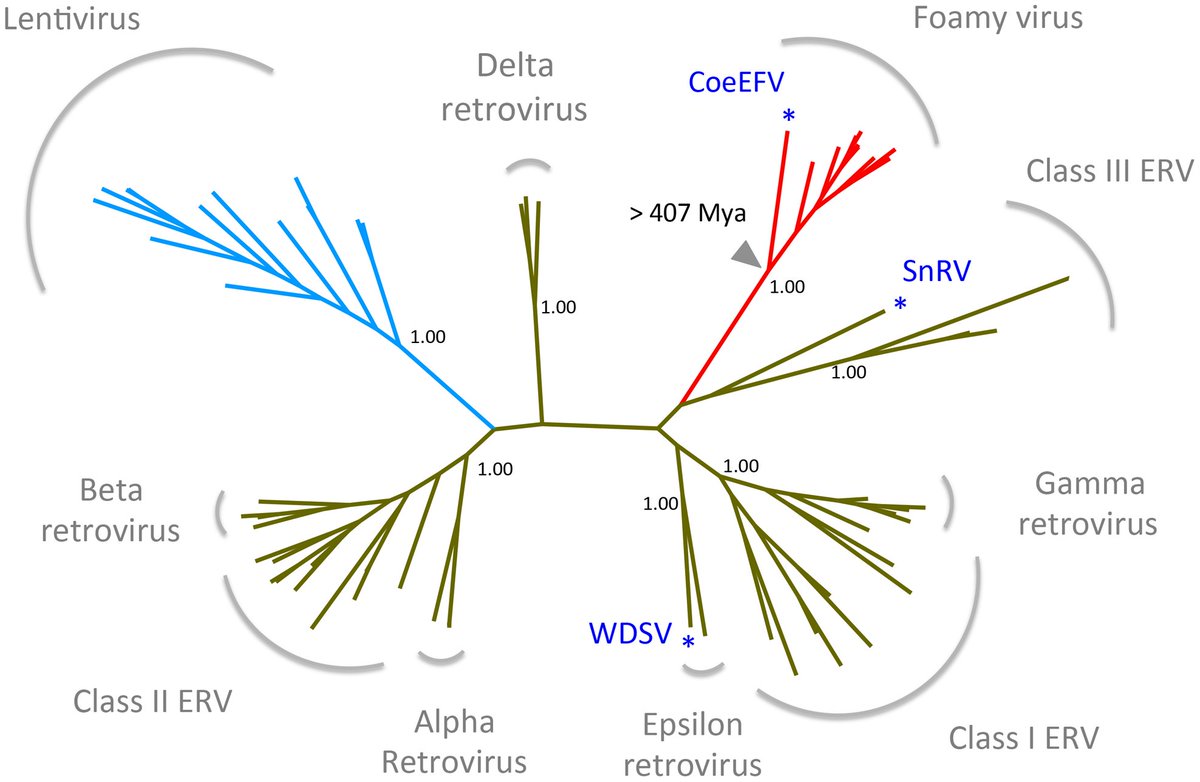 aviation and