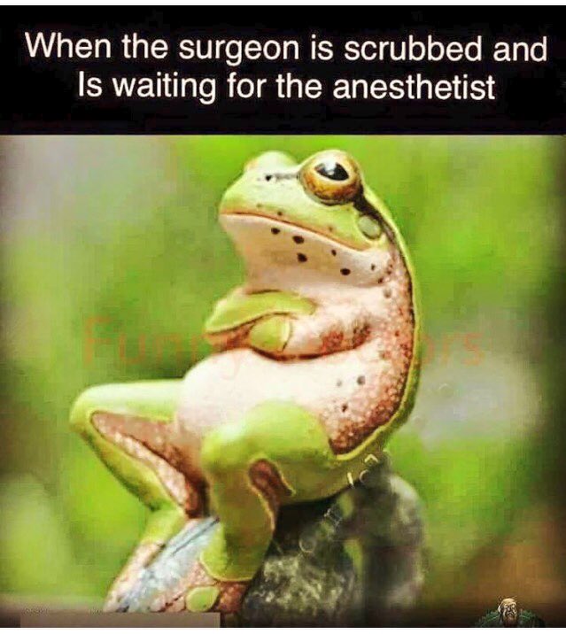 SurgeryMatters's tweet photo. When the surgeon is scrubbed and is waiting for the anesthetist. #SurgHumor https://t.co/uq5gFvAWcm